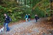 DSC_0145 (Small).JPG