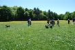 DSC_0294 (Small).JPG