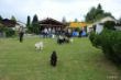 DSC_0016.JPG
