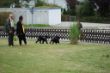 DSC_0160.JPG