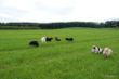 DSC_0369.JPG