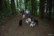 DSC_0334.JPG