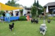DSC_0956.JPG