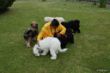 DSC_0870.JPG