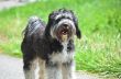 DSC_5909-klein (Small).jpg