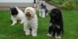 DSC_0013.jpg