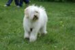 DSC_0059-2.jpg