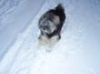 000_0047.JPG