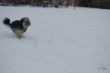 DSC_0005.JPG