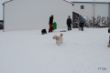 DSC_0009.JPG