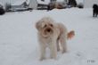 DSC_0027.JPG