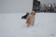 DSC_0033.JPG