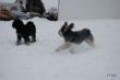 DSC_0035.JPG