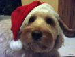 DSC00113.JPG