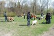 DSC_0044.JPG